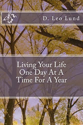 Living Your Life One Day At A Time For A Year