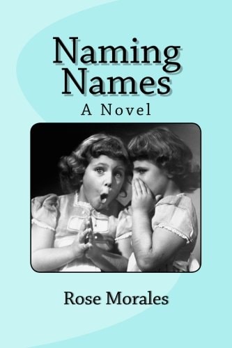 Naming Names A Novel
