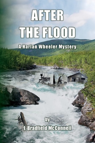 After The Flood A Harlan Wheeler Mystery
