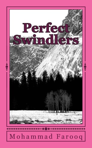 Perfect Swindlers Embezzlement