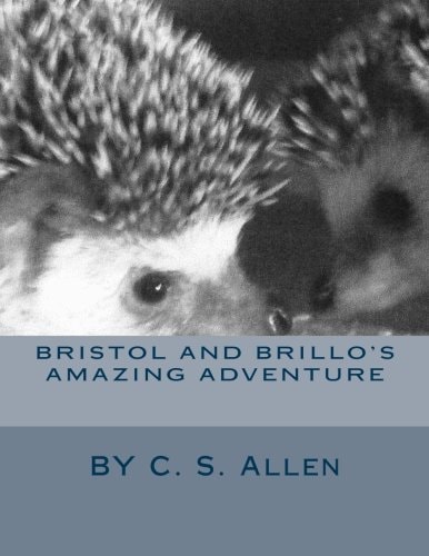 Bristol and Brillo's Amazing Adventure