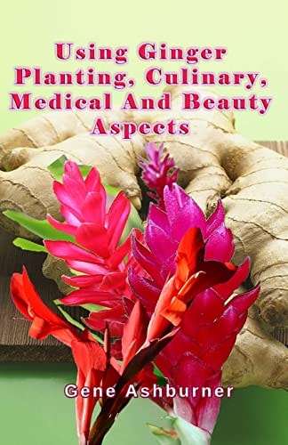 Using Ginger Planting, Culinary, Medical And Beauty Aspects