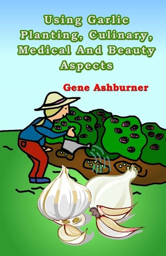 Using Garlic Planting, Culinary, Medical And Beauty Aspects