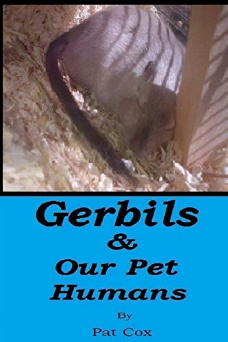 Gerbils and Our Pet Humans