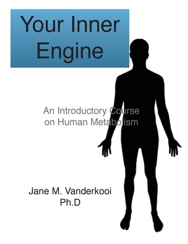 Your Inner Engine An Introductory Course on Human Metabolism
