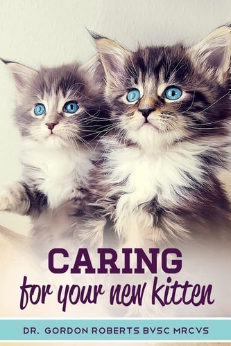 Caring for Your New Kitten How to Care for Your Kitten and Everything You Need to Know to Keep Them Well.