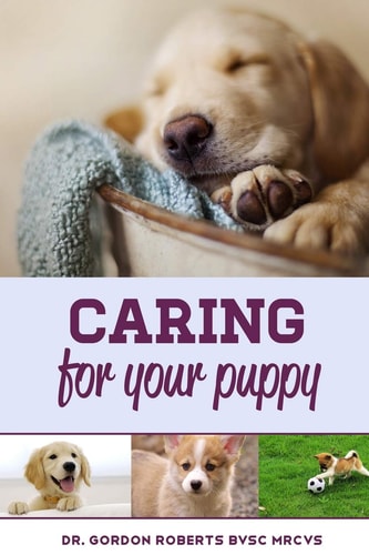 Caring for Your Puppy How to Care for Your Puppy and Everything You Need to Know to Keep Them Well.