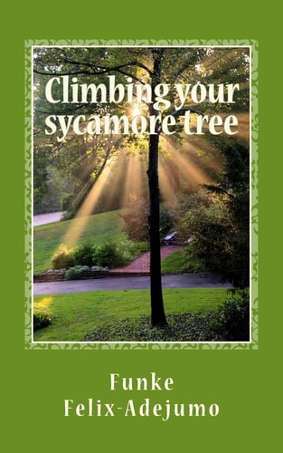 Climbing Your Sycamore Tree Nurturing Your Relationships