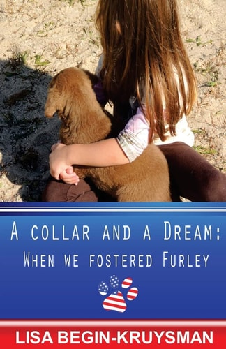 A Collar and a Dream When We Fostered Furley