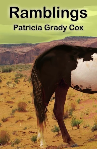 Ramblings A Collection of Flash Fiction, Short Stories, and Essays