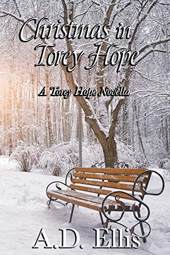 Christmas in Torey Hope A Novella