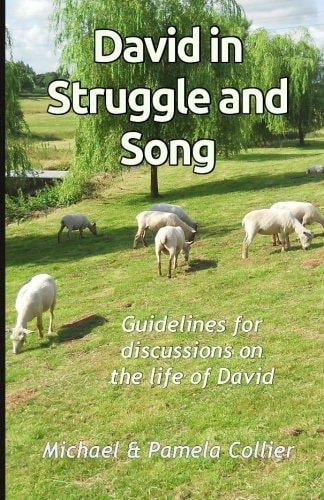 David in Struggle and Song Guidelines for Discussions on the Life of David (black and White Version)