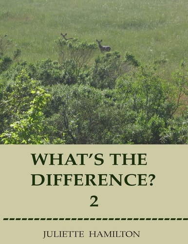 What's the Difference? 2 A Children's Book of Similar Animals with Their Differences Revealed.