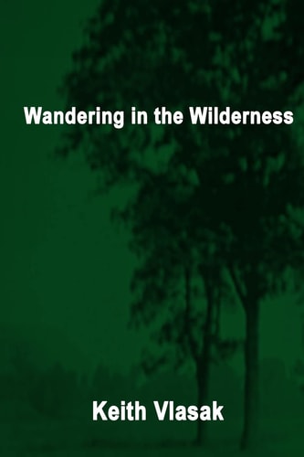 Wandering in the Wilderness (Kinky, Quirky, and Desperation Stories)