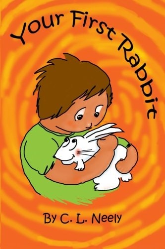 Your First Rabbit