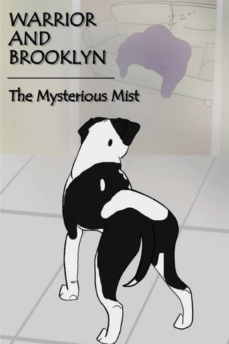 Warrior and Brooklyn The Mysterious Mist