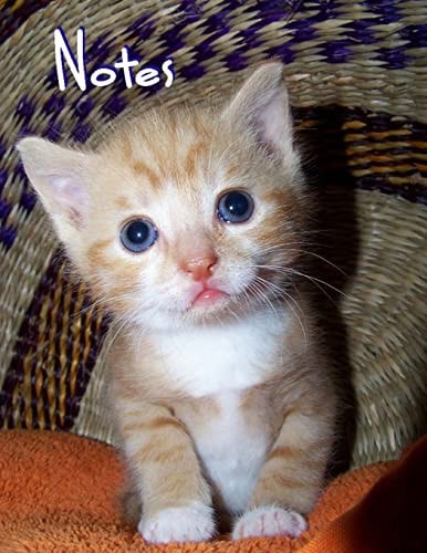 Notes Kitten