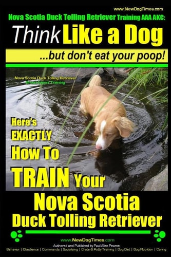 Nova Scotia Duck Tolling Retriever Training AAA AKC Think Like a Dog But Don't Eat Your Poop! Nova Scotia Duck Tolling Retriever Breed Expert Training: Here's EXACTLY How To TRAIN Your Nova Scotia Duck Tolling Retriever