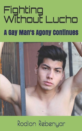 Fighting Without Lucho A Gay Man's Agony Continues