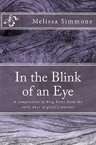 In the Blink of an Eye A Compilation of Blog Posts from the Early Days of Grief's Journey