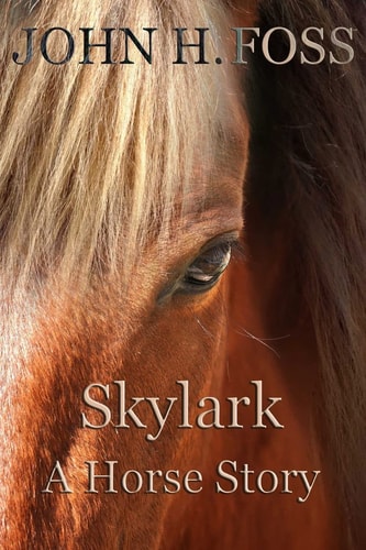 Skylark A Horse Story