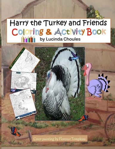 Harry the Turkey and Friends Activity and Coloring Book