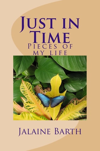 Just in Time Pieces of My Life