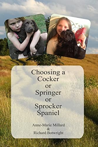 Choosing a Cocker Or Springer Or Sprocker Spaniel Working Spaniels - for Pets, Company, Work and Fun.