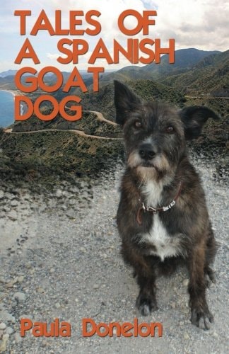 Tales of a Spanish Goat Dog
