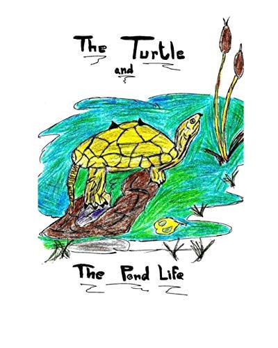 The Turtle and The Pond Life