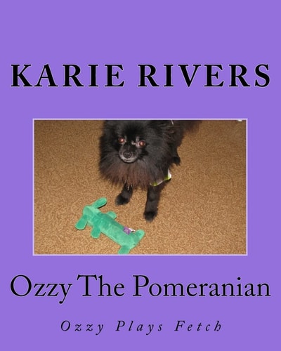 Ozzy The Pomeranian Ozzy Plays Fetch