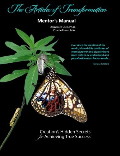 Articles of Transformation Mentor's Manual