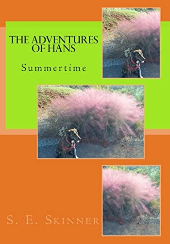 The Adventures of Hans Summertime