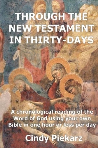 Through The New Testament In Thirty Days A Chronological Reading of the Word of God Using Your Own Holy Bible in One Hour Or Less Per Day