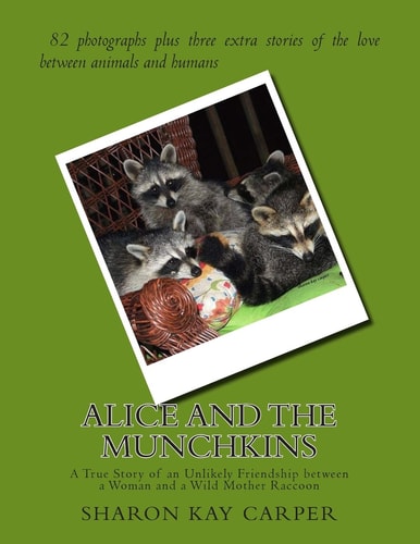 Alice and the Munchkins A True Story of an Unlikely Friendship Between a Woman and a Wild Mother Raccoon