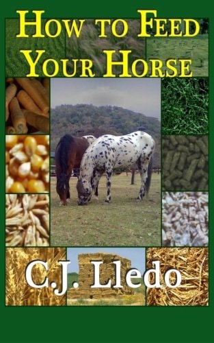 How To Feed Your Horse