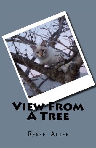 View From A Tree Full Color