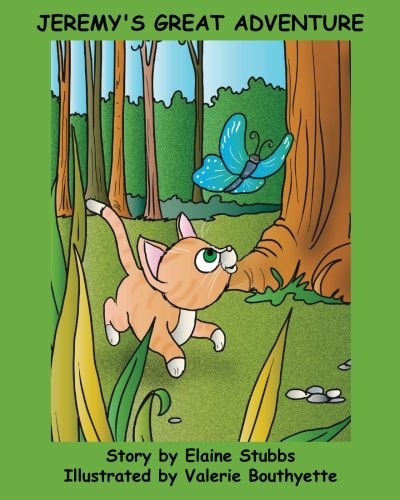 Jeremy's Great Adventure