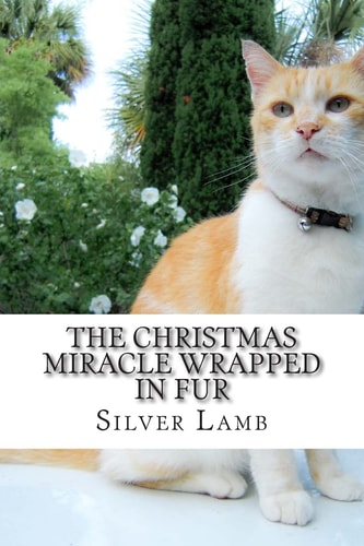 The Christmas Miracle Wrapped in Fur Mr. Scruffy Pants Has an Adventure