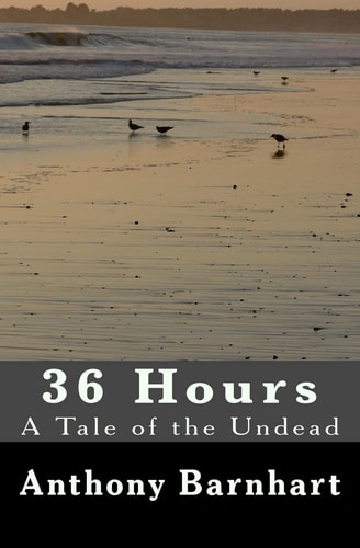 36 Hours The 2nd Edition