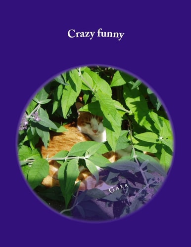 Crazy Funny Slightly Crazy Humour .