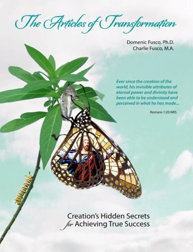 Articles of Transformation Book Part One