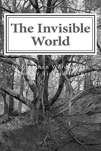 The Invisible World Lectures on British Romantic Poetry and the Romantic Imagination