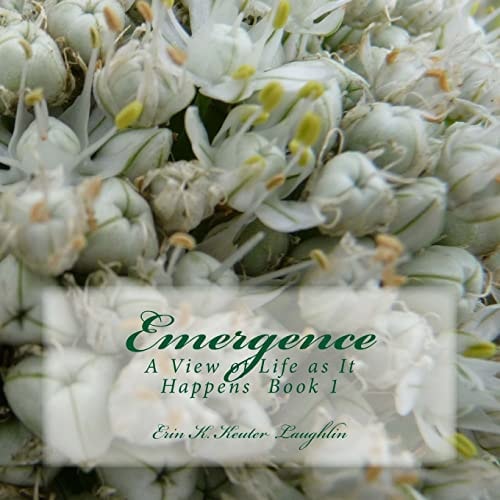 Emergence A View of Life As It Happens Book 1