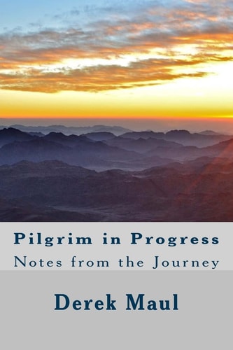 Pilgrim in Progress Notes from the Journey