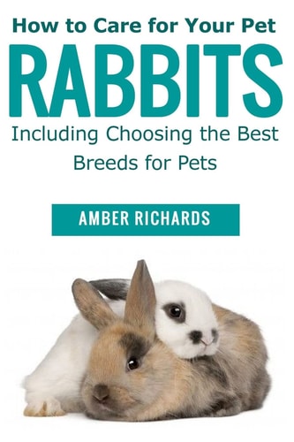 How to Care for Your Pet Rabbits Including Choosing the Best Breeds for Pets