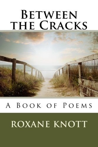 Between the Cracks A Book of Poems