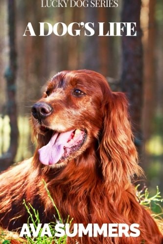 A Dog's Life