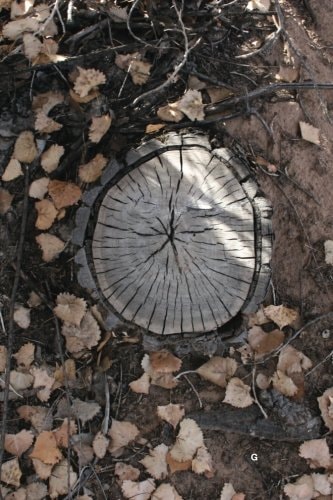 Stump Speech Poems by Kenneth P. Gurney