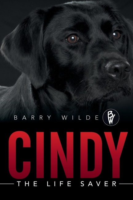 Cindy: The Life Saver